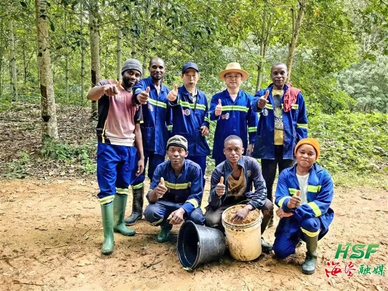 3517963c1978416f863f7749b7fb9623