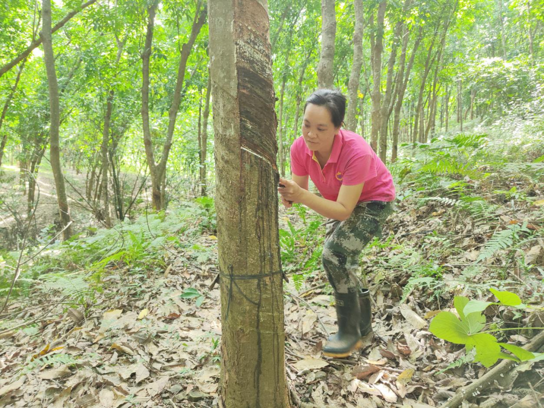 5107e04c5a0d4daeb8c6916db38e8ea4