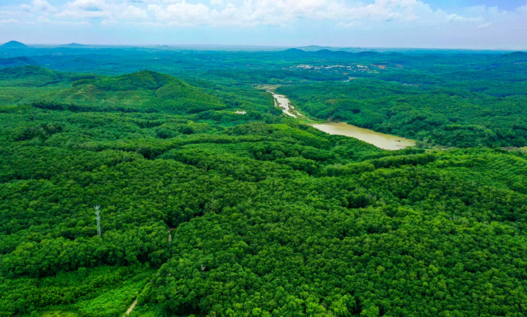 57a2ad7a247d4d25a0b178dcfba724ae