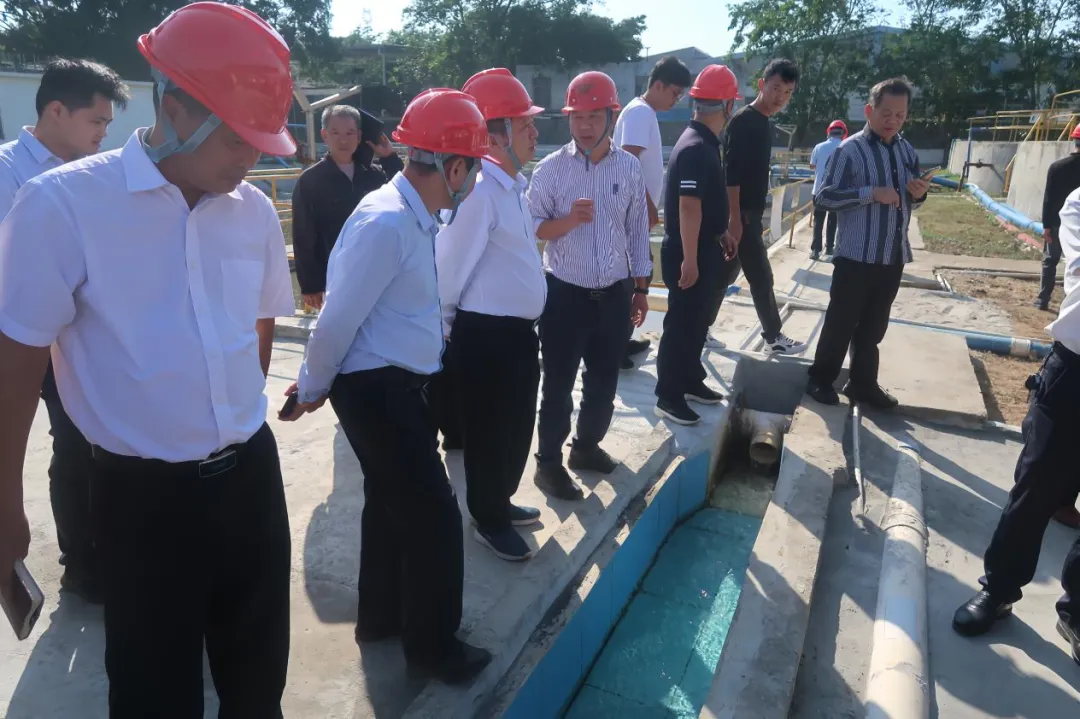 6e46f2ed748c4fa2a6fb7674f574ba2b