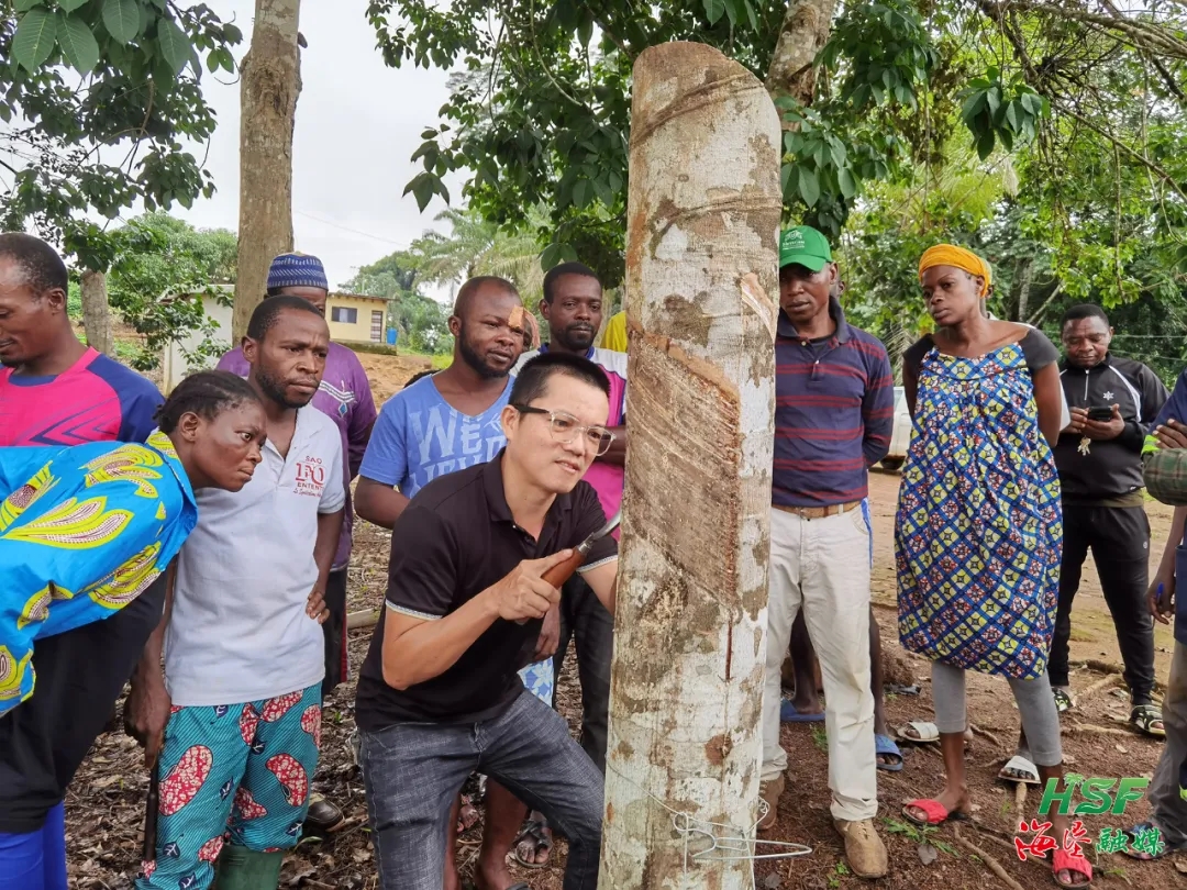 8509c78c4b5b4900ad538322b6e3743a