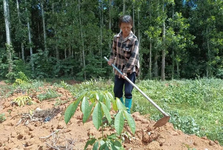 87326a3906bc4b2f9b28f483e8800526