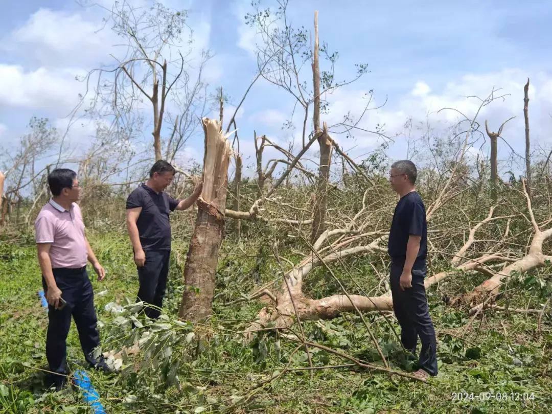 eb4782abb58a4db2a8ba5cdaca02f13d