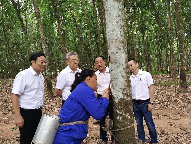 EMC易倍·(中国)体育官方网站-EMC SPORTS