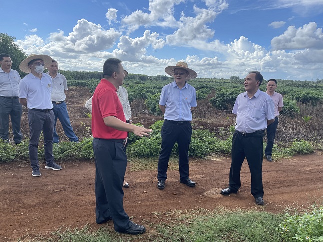 EMC易倍·(中国)体育官方网站-EMC SPORTS