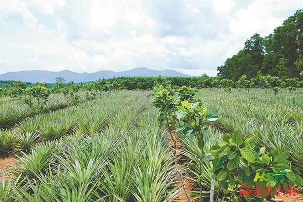 EMC易倍·(中国)体育官方网站-EMC SPORTS