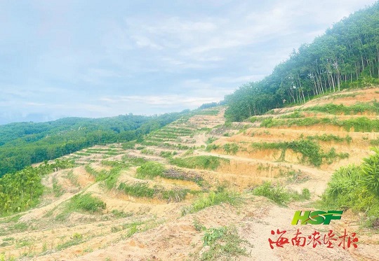 EMC易倍·(中国)体育官方网站-EMC SPORTS