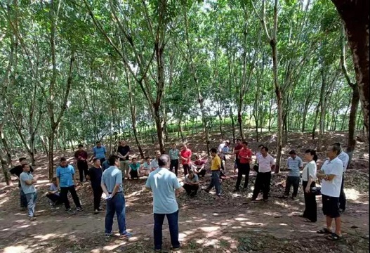 EMC易倍·(中国)体育官方网站-EMC SPORTS