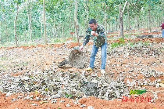 EMC易倍·(中国)体育官方网站-EMC SPORTS