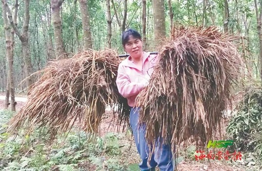 EMC易倍·(中国)体育官方网站-EMC SPORTS