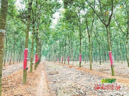 EMC易倍·(中国)体育官方网站-EMC SPORTS