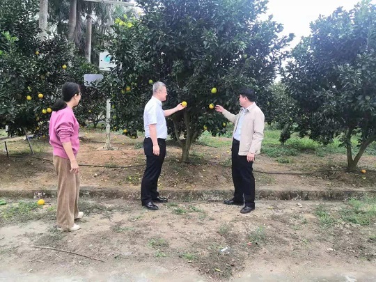 EMC易倍·(中国)体育官方网站-EMC SPORTS