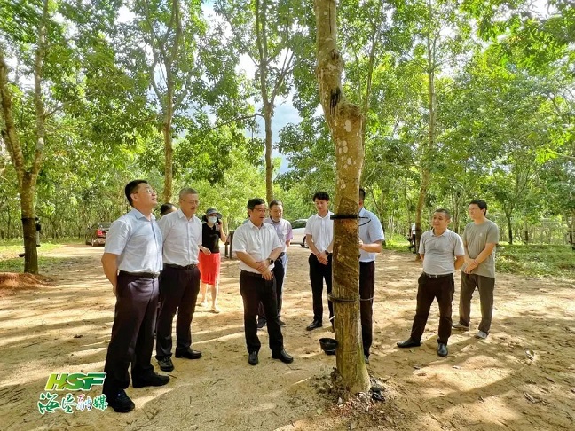 EMC易倍·(中国)体育官方网站-EMC SPORTS