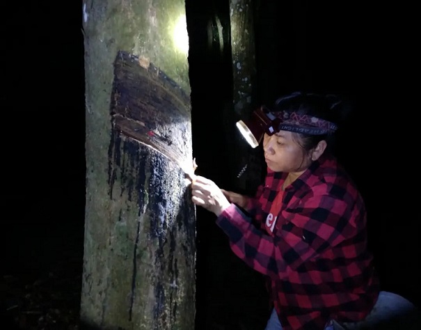 EMC易倍·(中国)体育官方网站-EMC SPORTS