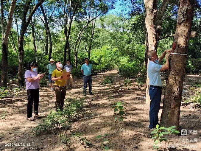 EMC易倍·(中国)体育官方网站-EMC SPORTS