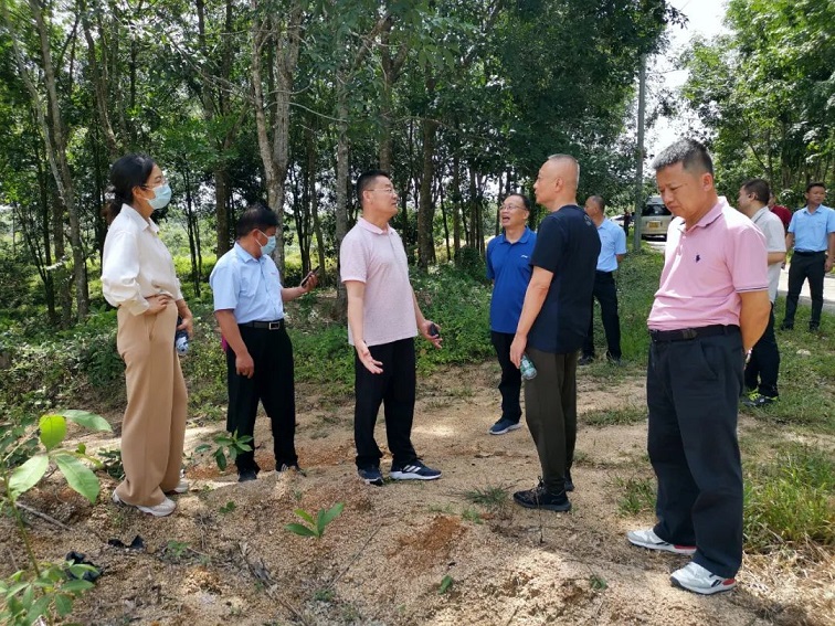 EMC易倍·(中国)体育官方网站-EMC SPORTS