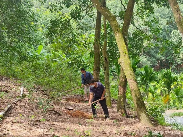 EMC易倍·(中国)体育官方网站-EMC SPORTS