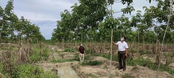 EMC易倍·(中国)体育官方网站-EMC SPORTS