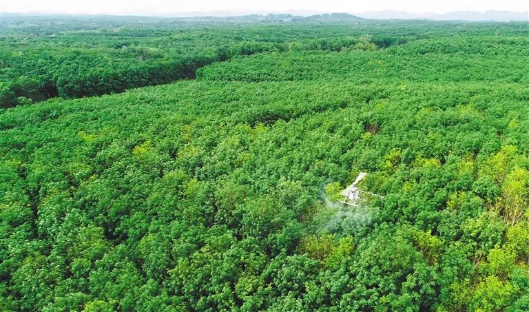 EMC易倍·(中国)体育官方网站-EMC SPORTS