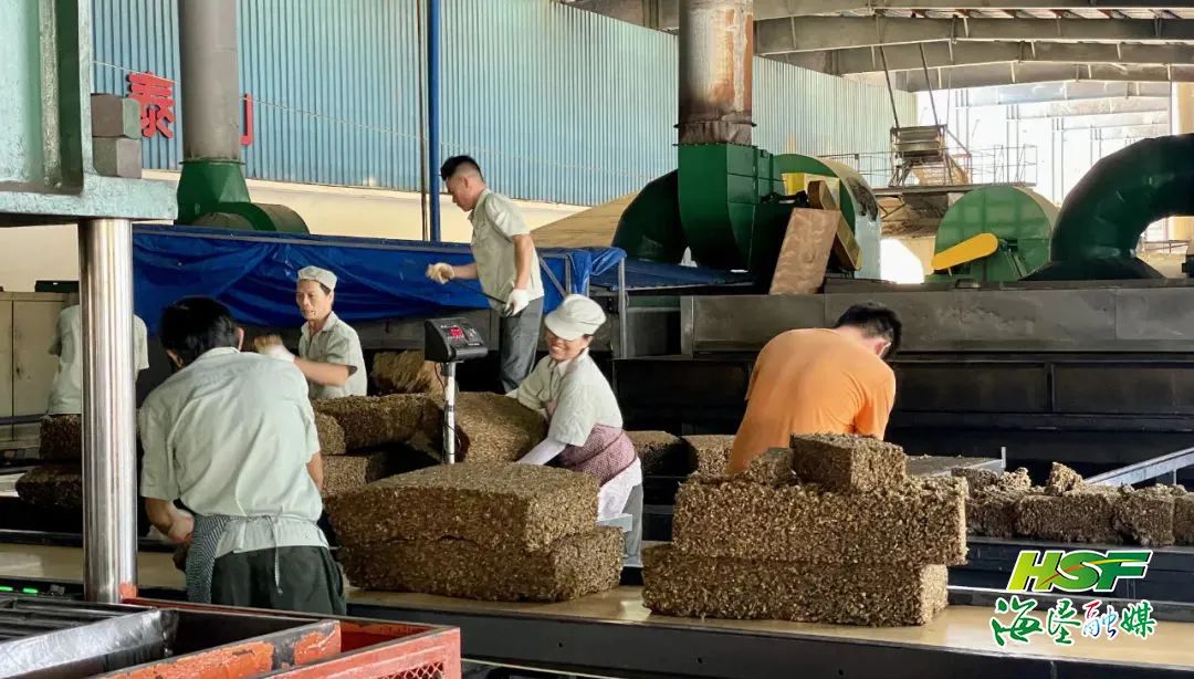 EMC易倍·(中国)体育官方网站-EMC SPORTS