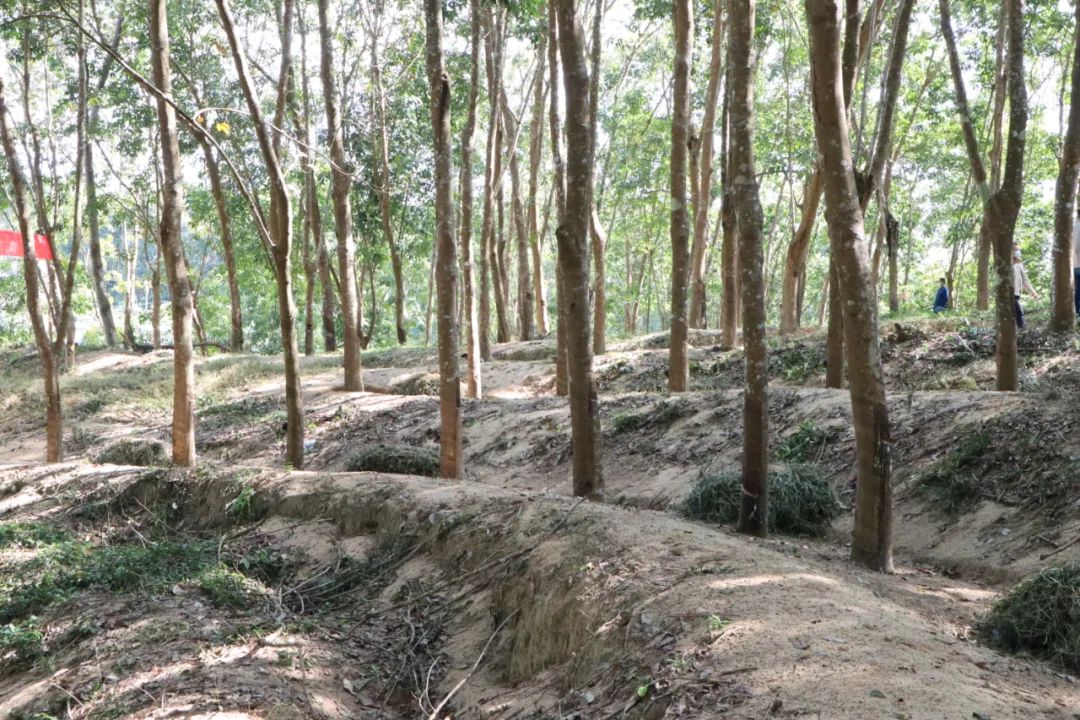 EMC易倍·(中国)体育官方网站-EMC SPORTS