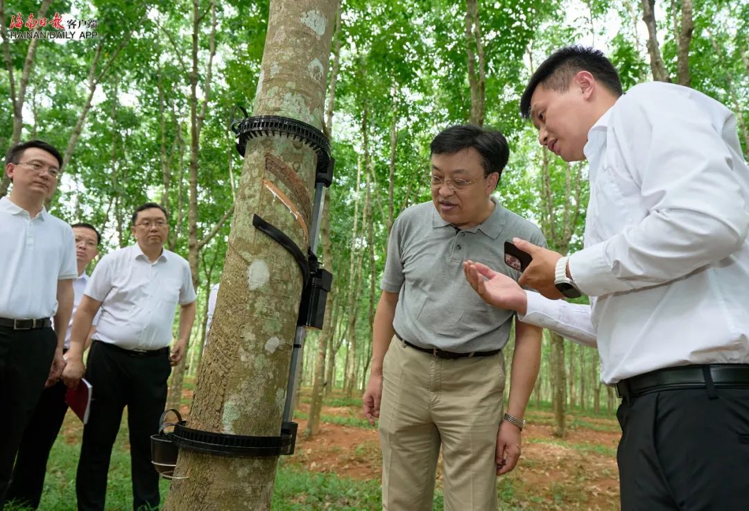 EMC易倍·(中国)体育官方网站-EMC SPORTS