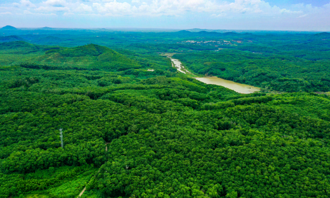 EMC易倍·(中国)体育官方网站-EMC SPORTS